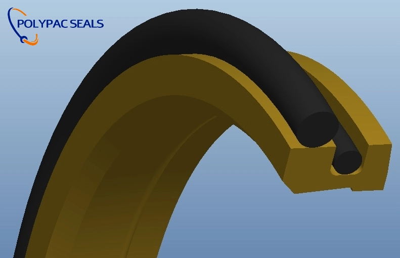 DPT2 - Polypac DPT2 Scraper Seals - Polypac