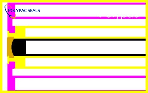 DDKK 平面图 - Polypac