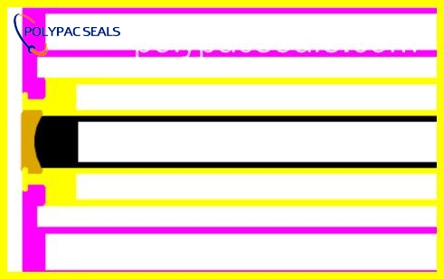 DDKK 平面图 - Polypac