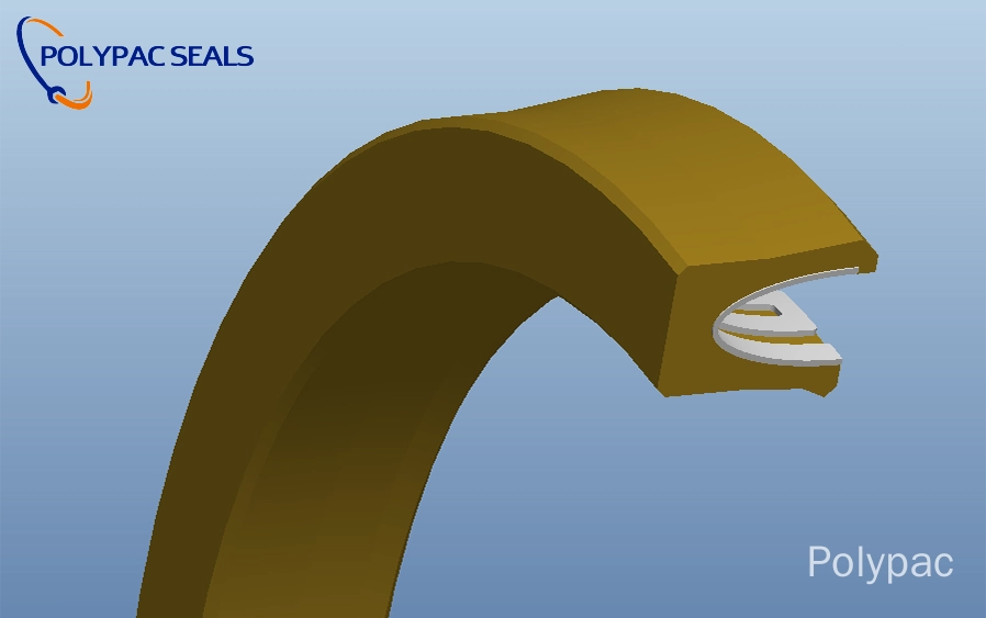 FSR-V 3D图 - Polypac