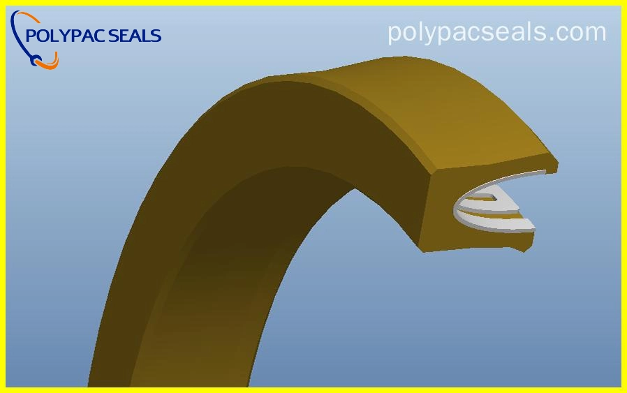 FSR-V 3D图 - Polypac