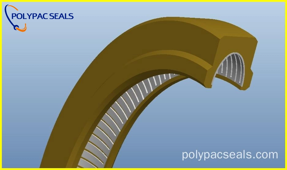 FSVI-V 3D图 - Polypac