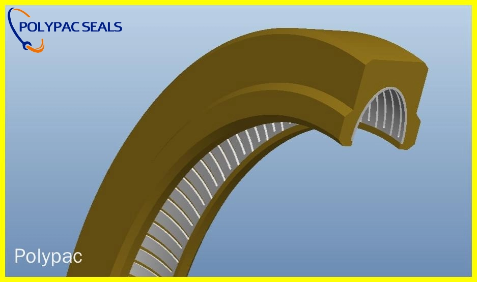 FSVI-V 3D图 - Polypac
