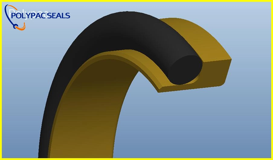 DSJR 3D图 - Polypac