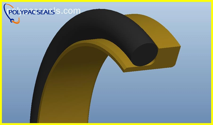 DSJR 3D图 - Polypac