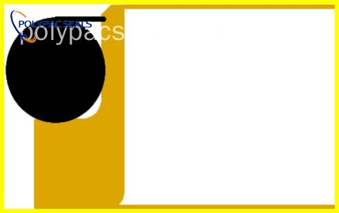 DSJR 平面图 - Polypac