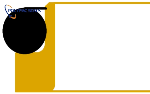 DSJR 平面图 - Polypac DSJR 平面图 - Polypac