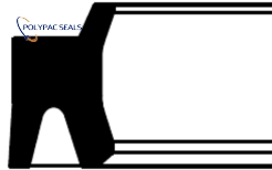 FD - Polypac FD Scraper Seals - Polypac