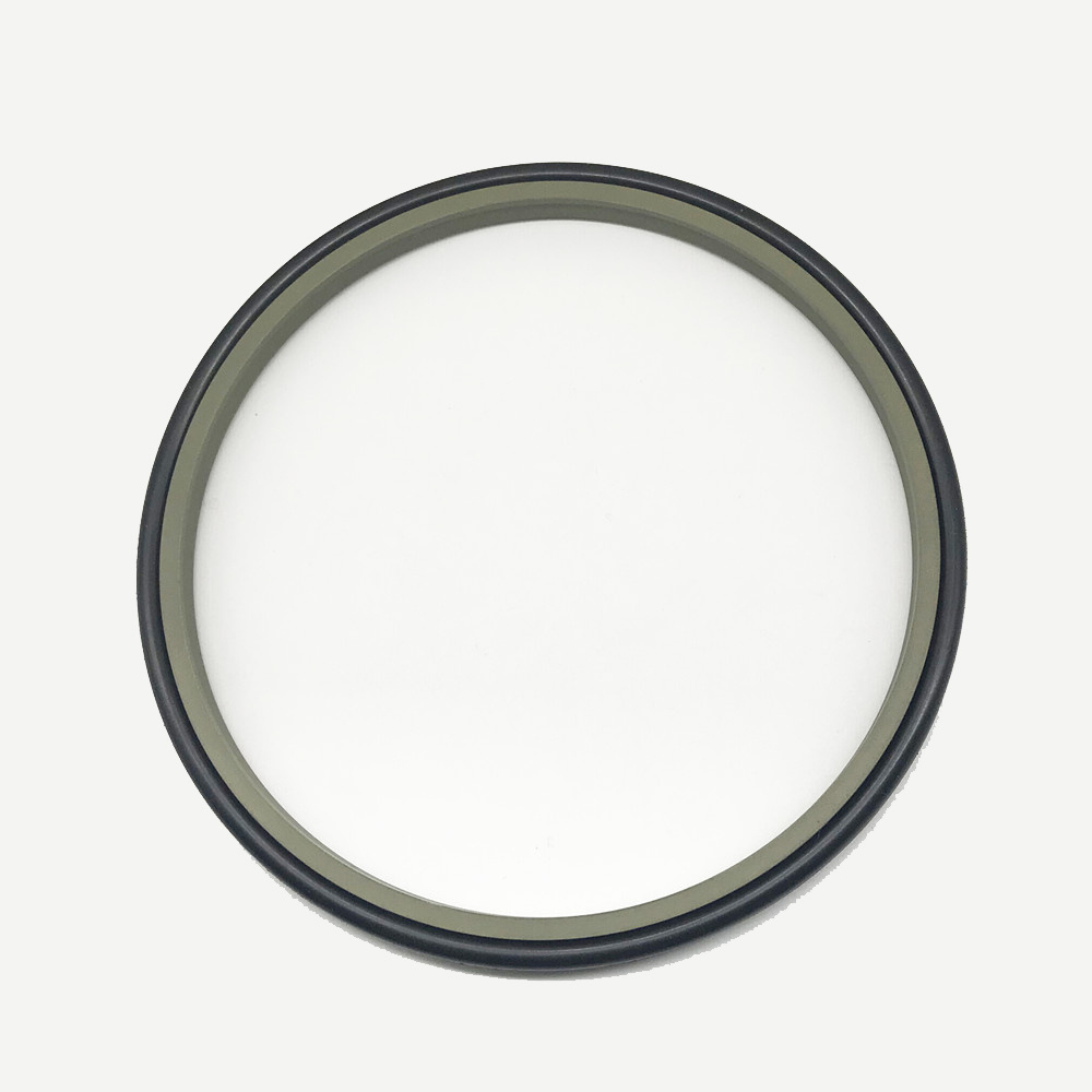 DPT1 Scraper Seals - Polypac