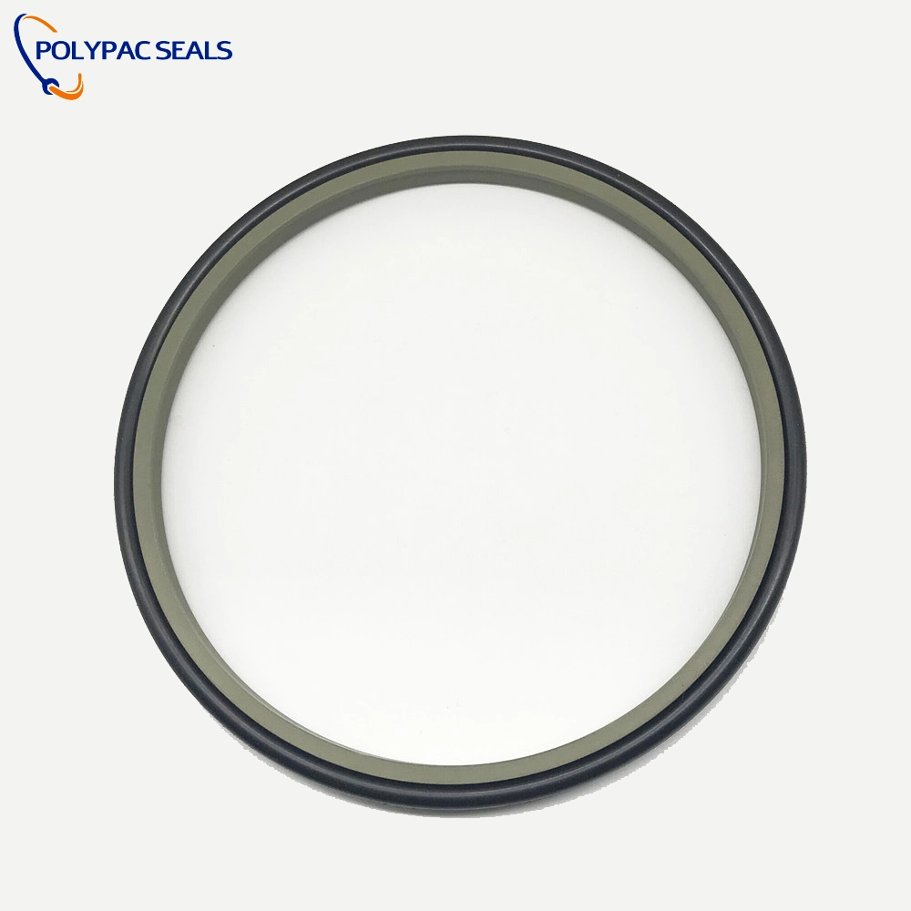 DPT1 - Polypac DPT1 Scraper Seals - Polypac