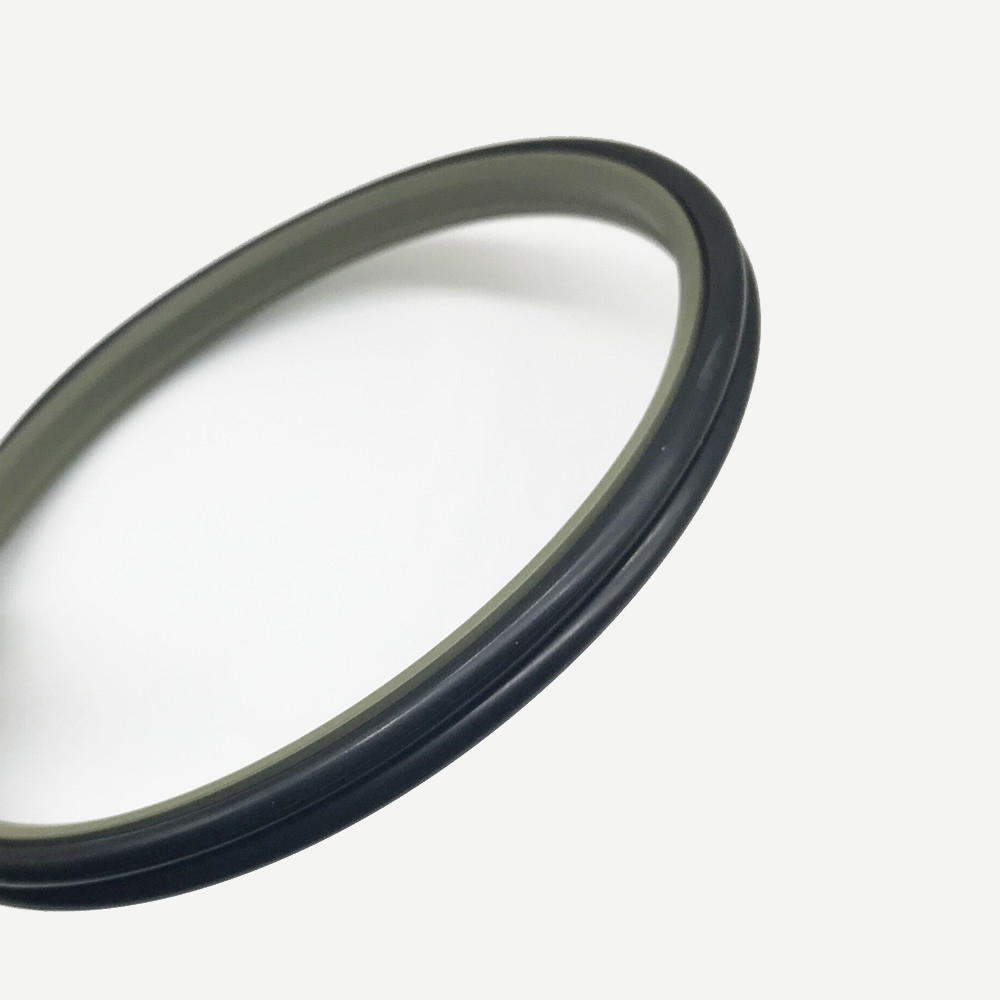 DPT1 Scraper Seals - Polypac