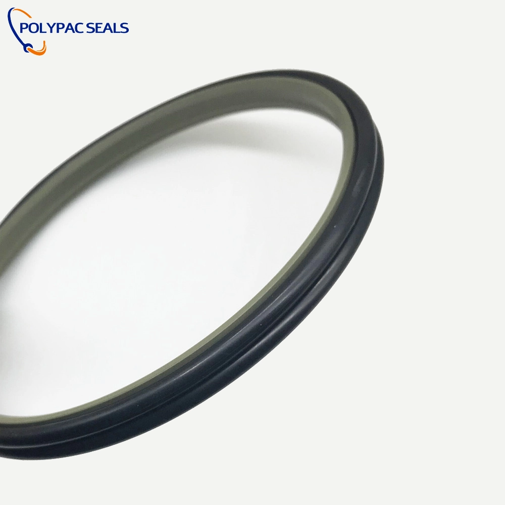 DPT1 - Polypac DPT1 Scraper Seals - Polypac