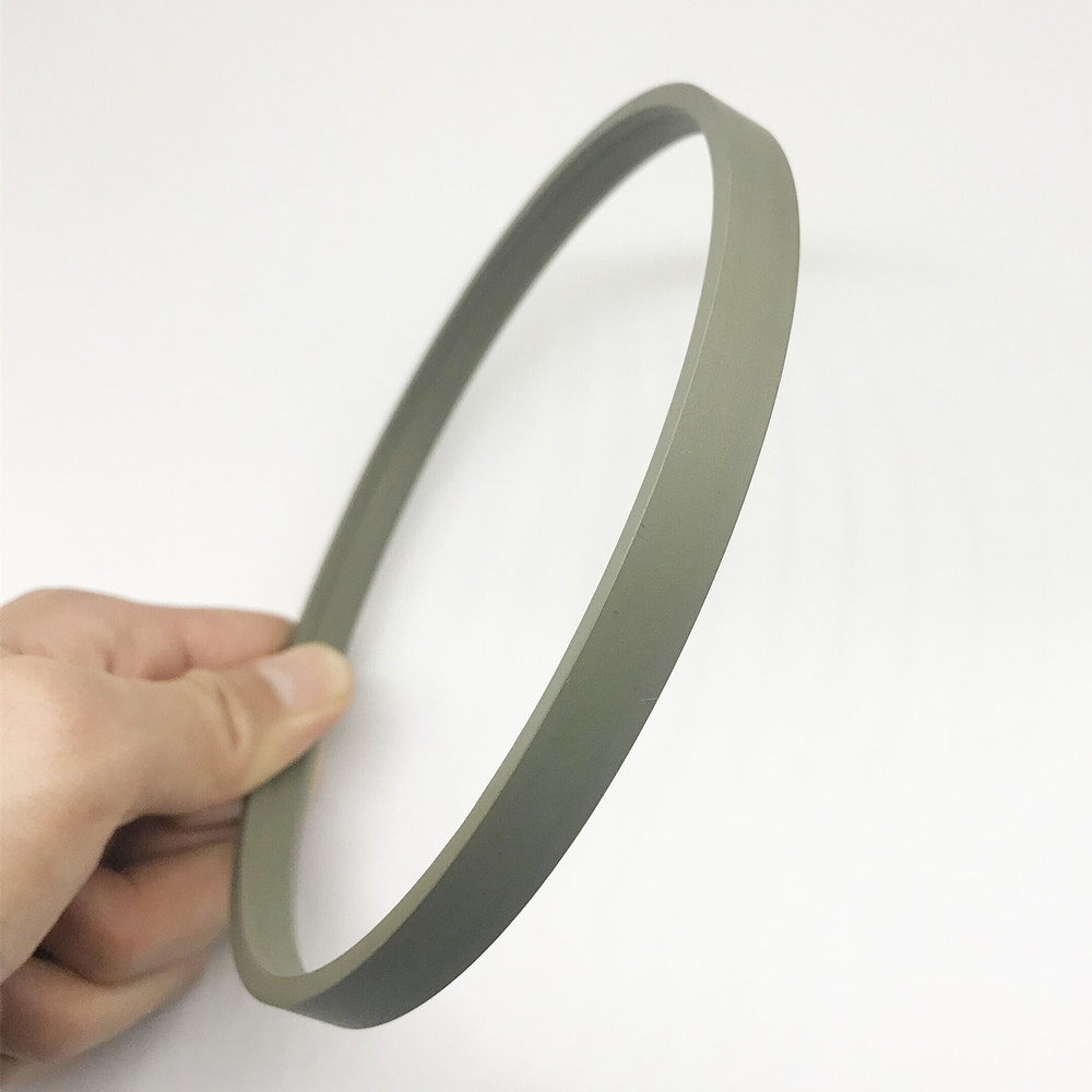 DPT1 Scraper Seals - Polypac