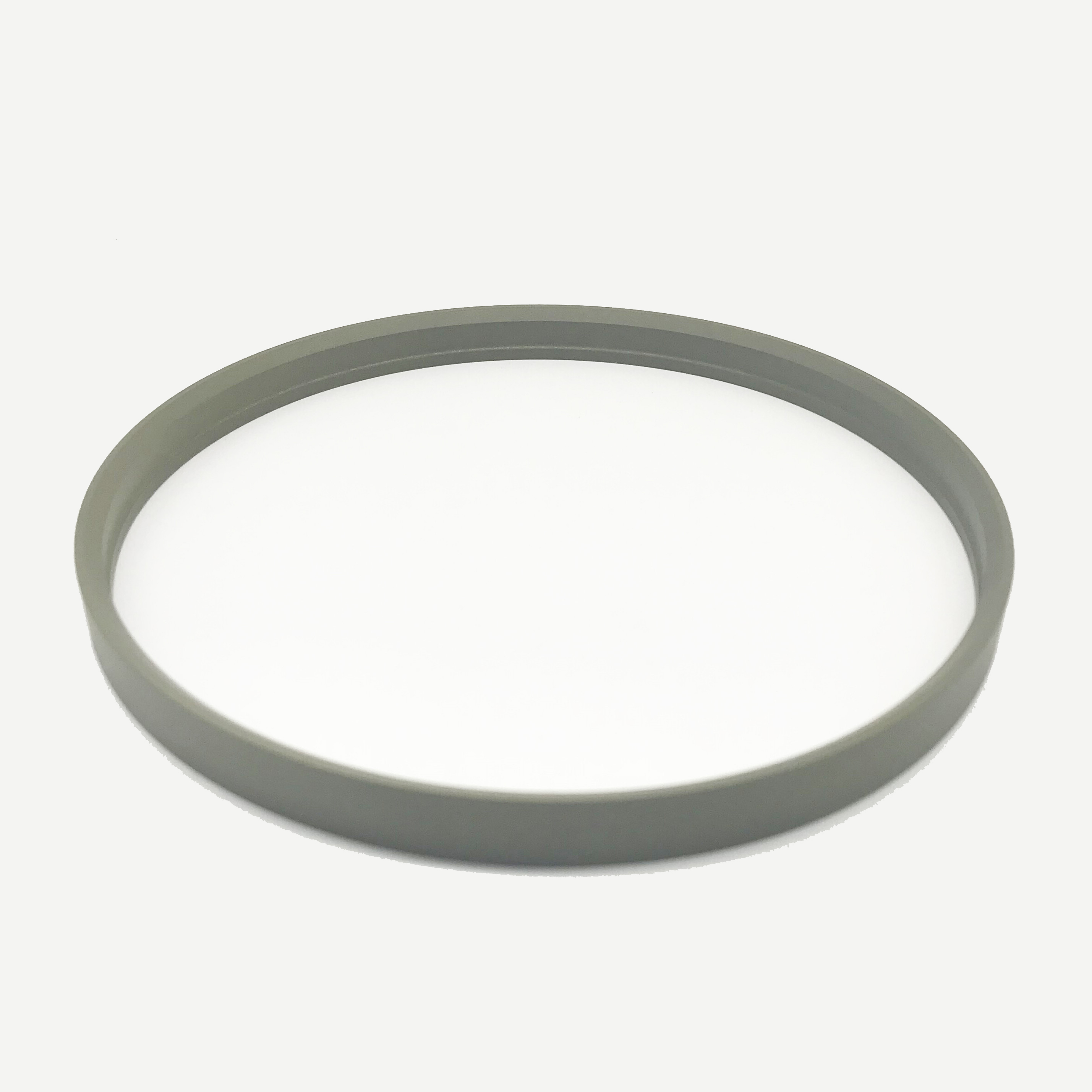 DPT1 Scraper Seals - Polypac