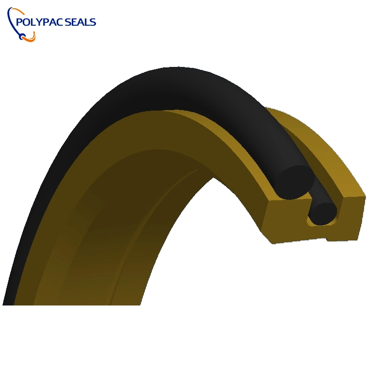 DPT2 - Polypac DPT2 Scraper Seals - Polypac