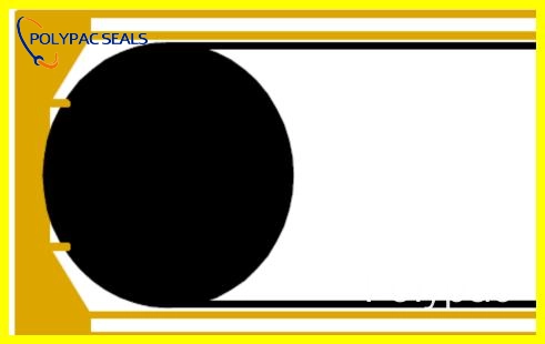 SPGC 平面图 - Polypac