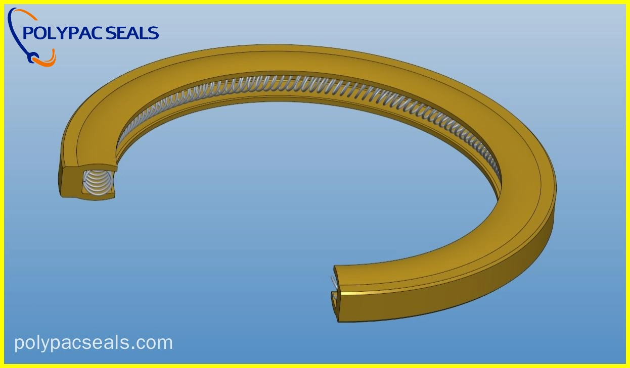 FSVI-X 3D图 - Polypac