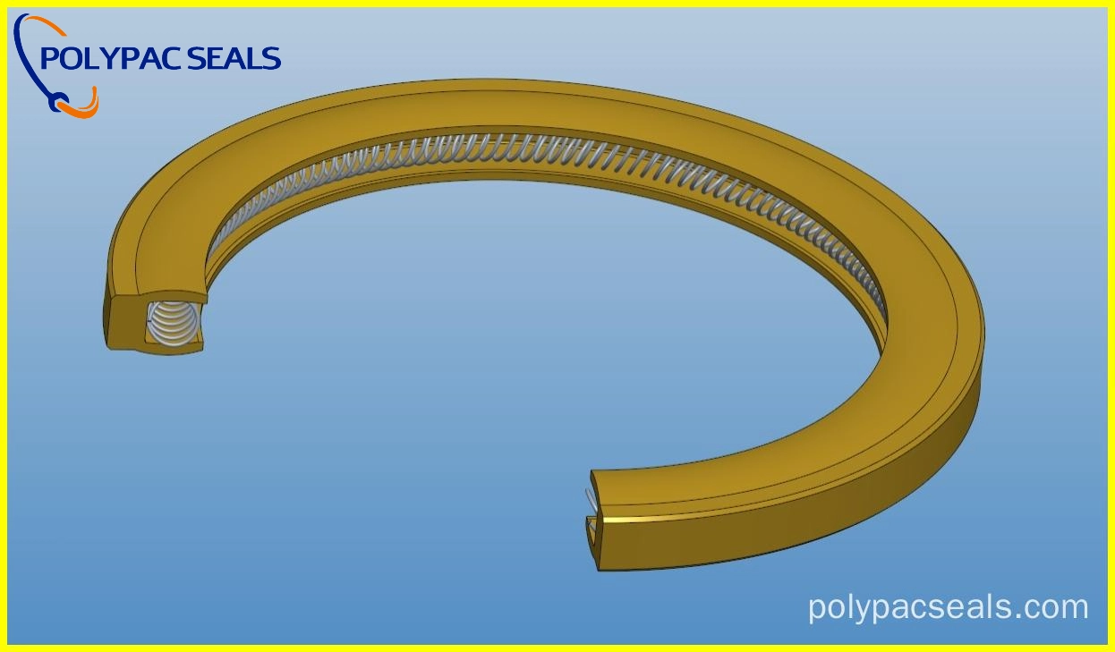 FSVI-X - पॉलीपैक