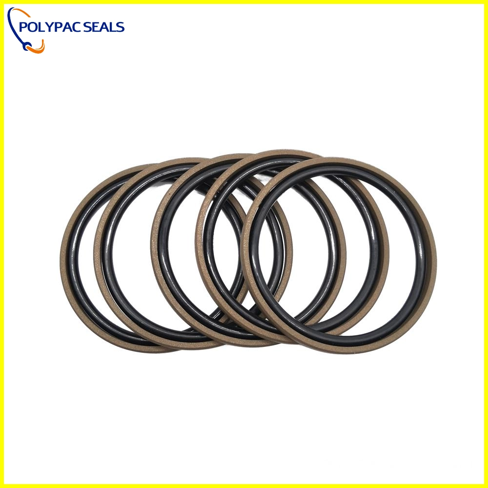 GSF-DC12-11 - Polypac