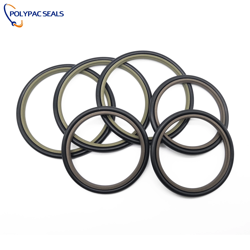 GSJ-L06-12 - پلیپک