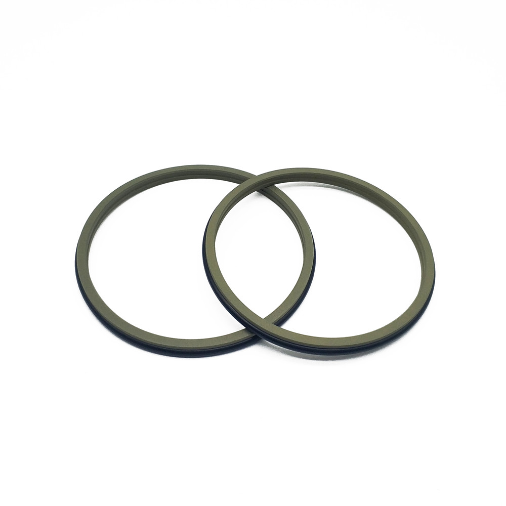 GSZ2 Scraper Seals - Polypac