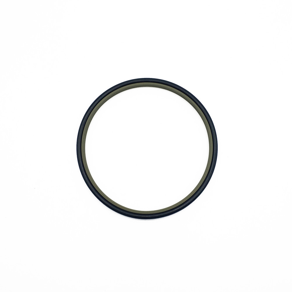 GSZ2 Scraper Seals - Polypac