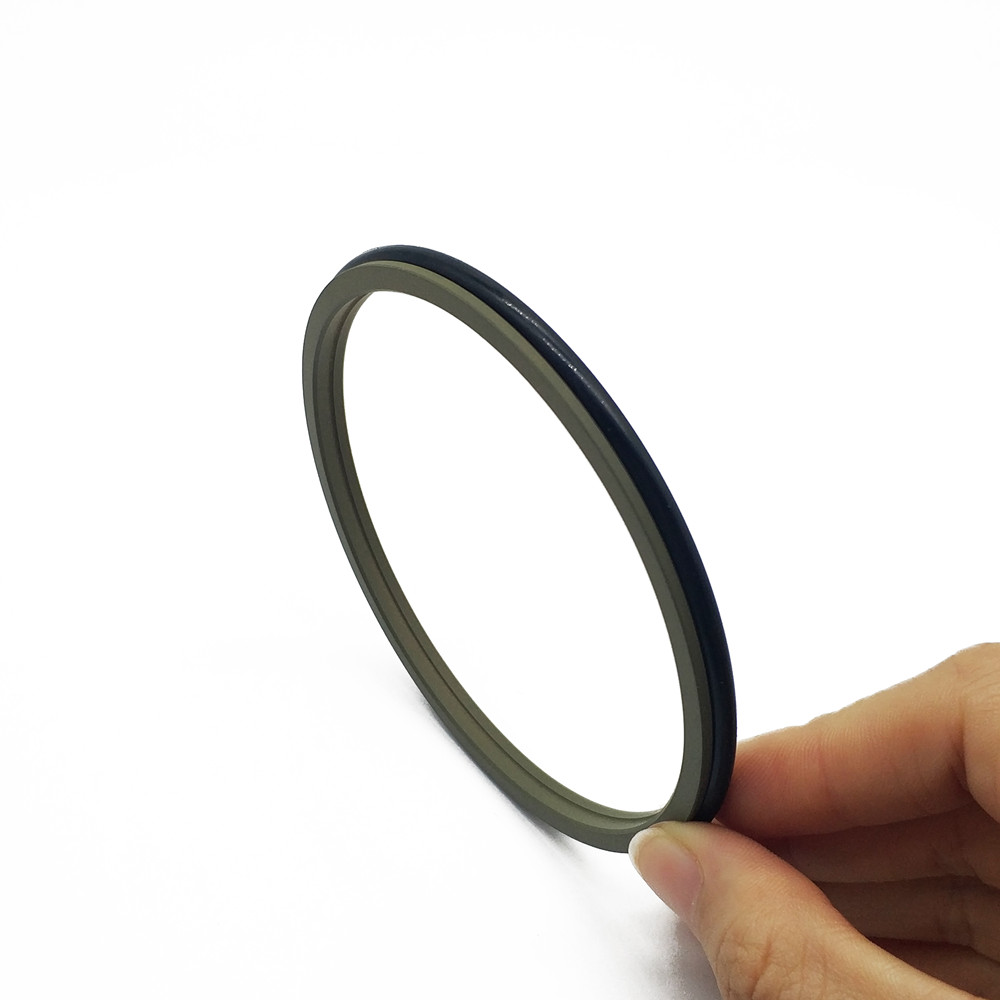 GSZ2 Scraper Seals - Polypac