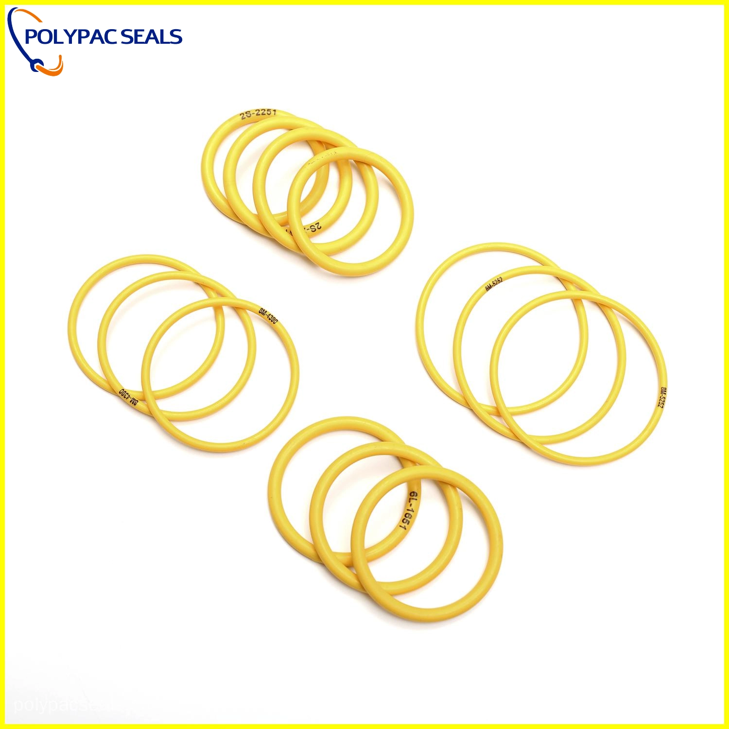 ORing-Kit Cat4C8253sp - Polypac