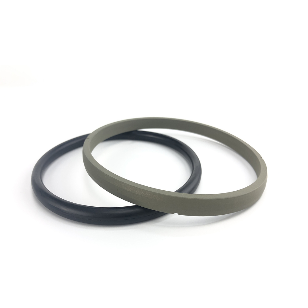 SPGO Type Oil Seal - Spring-Loaded Double-Lip Rotary Shaft Seal (8) - Polypac
