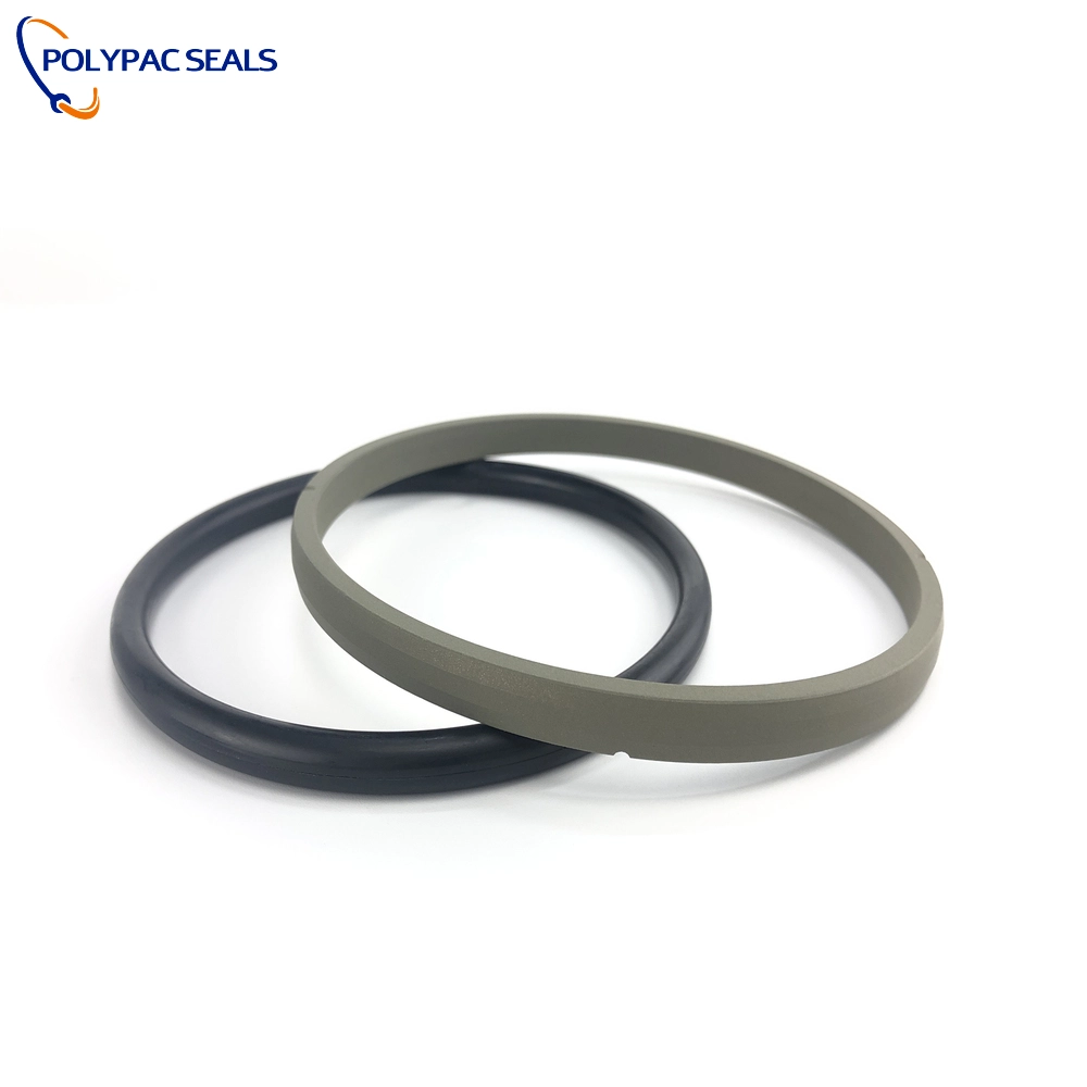 SPGO Type Oil Seal - Spring-Loaded Double-Lip Rotary Shaft Seal (8) - Polypac SPGO Type Oil Seal - Spring-Loaded Double-Lip Rotary Shaft Seal (8) - Polypac